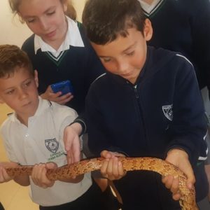 Perder los miedos aprendiendo