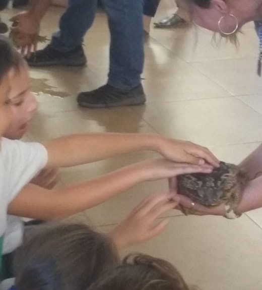 Perder los miedos aprendiendo