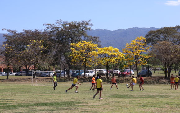 Semana Santa Rosa